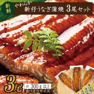 やわらか国内産うなぎ蒲焼き！ 食べ切りサイズ100～120g 3尾　計300g以上|うなぎ 鰻 蒲焼 食べ切り 茨城県 行方市(AD-105-1)