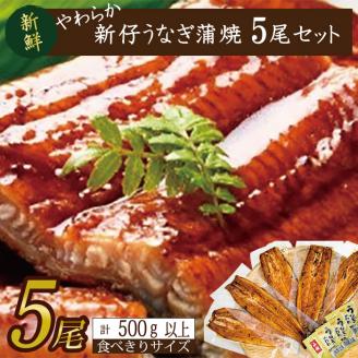 やわらか国内産うなぎ蒲焼き！ 食べ切りサイズ100～120g 5尾　計500g以上|うなぎ 鰻 蒲焼 食べ切り 茨城県 行方市(AD-103-1)
