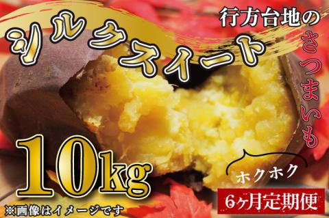 CU-196 【定期便】【6ヵ月】無選別　行方台地のさつまいも　シルクスイート10kg