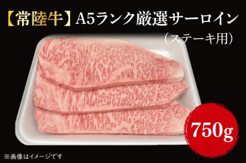 【常陸牛】Ａ５ランク厳選サーロイン(ステーキ用)250g×3｜肉 お肉 肉類 サーロイン サーロインステーキ ステーキ バーベキュー BBQ キャンプ 常陸牛 厳選 A5 贅沢 茨城県 行方市(FL-11)