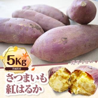 さつまいも　特選紅はるか 約5kg｜さつまいも 芋 お芋 紅はるか タネのハシモト 茨城県 行方市(BS-10)