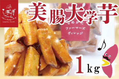 【2025年12月中旬より順次発送】らぽっぽファーム【工場直送】美腸大学いも 1kg｜さつまいも 大学芋 芋 サツマイモ だいがくいも スイーツ お菓子 冷凍 美腸大学芋 人気 送料無料 茨城県 行方市 らぽっぽファーム(CQ-19)