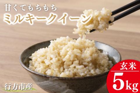 ★令和7年度産★甘くてもちもち ミルキークイーン5kg(玄米)｜米 お米 こめ ミルキークイーン 令和7年産 R7年産 新米 玄米 茨城県 行方市(BR-9)
