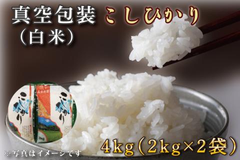★真空包装★R7年産こしひかり 4kg(2kg×2袋)【白米】｜米 こめ お米 コシヒカリ こしひかり 真空 真空包装 白米 人気 個包装 茨城県 行方市 送料無料(CZ-4-3)