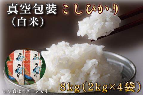 ★真空包装★R7年産こしひかり 8kg(2kg×4袋)【白米】｜米 こめ お米 コシヒカリ こしひかり 真空 真空包装 白米 人気 個包装 茨城県 行方市 送料無料(CZ-8-2)
