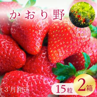 【2026年3月発送】★数量限定★爽やかな甘味！いちご（かおり野）15粒入り 2箱｜いちご 苺 フルーツ 果物 かおり野 茨城県 行方市(W-1)