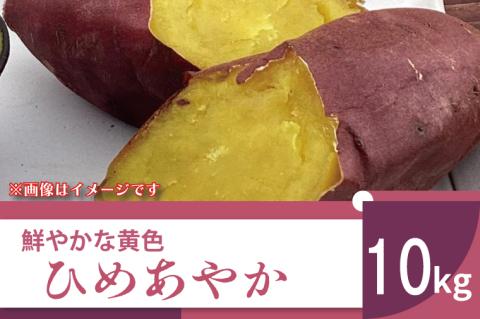 【2025年11月より順次発送】2025年度産 鮮やかな黄色のさつまいも ひめあやか 約10kg｜さつまいも サツマイモ さつま芋 芋 お芋 ひめあやか 先行予約 渋谷農園 人気 送料無料 茨城県 行方市(BZ-5)