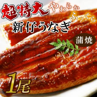 超特大！やわらか国内産うなぎ蒲焼220～250g 1尾|うなぎ 鰻 蒲焼 特大 茨城県 行方市(AD-96-1)