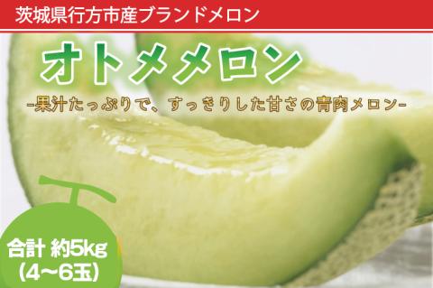 BW-22　【4月中旬発送】オトメメロン（４～６玉）