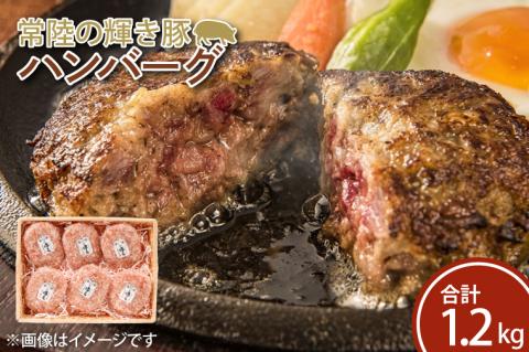 FQ-1　常陸の輝き豚ハンバーグ　約200ｇ×6パック