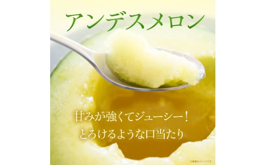 JAほこた なだろう アンデスメロン（1玉）クインシーメロン（1玉）