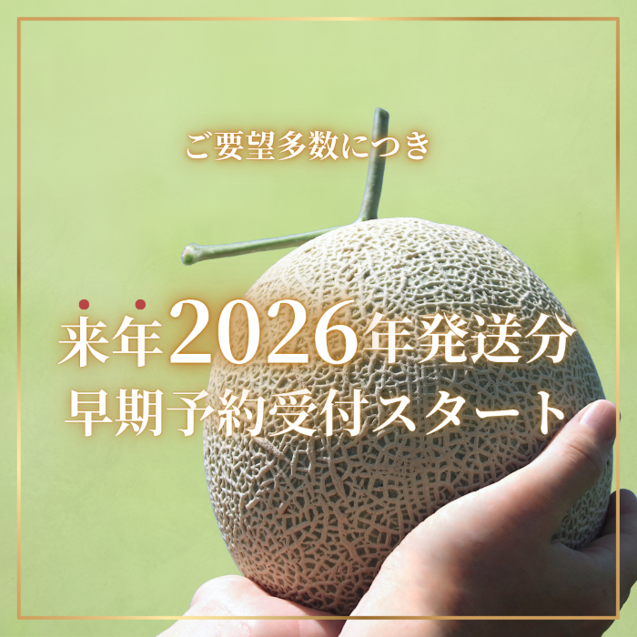 来年2026年5月出荷 イバラキングメロン（秀品）3～4個入