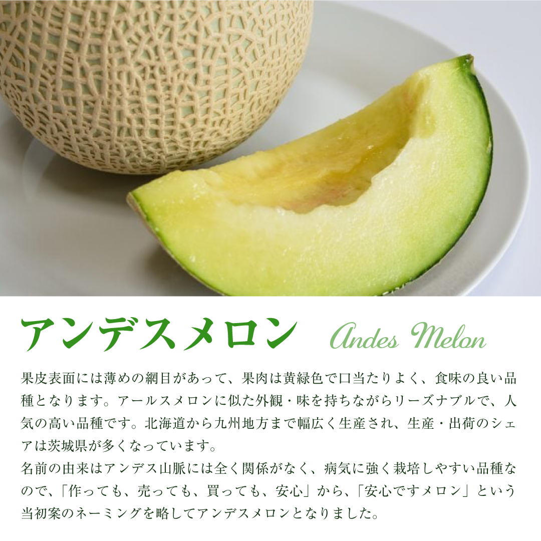 アンデスメロン（2玉入り1箱）計3kg前後 4Lサイズ1玉1.5kg前後 茨城 鉾田 メロン めろん アンデス 2025年5月頃発送 先行予約 フルーツ先行予約