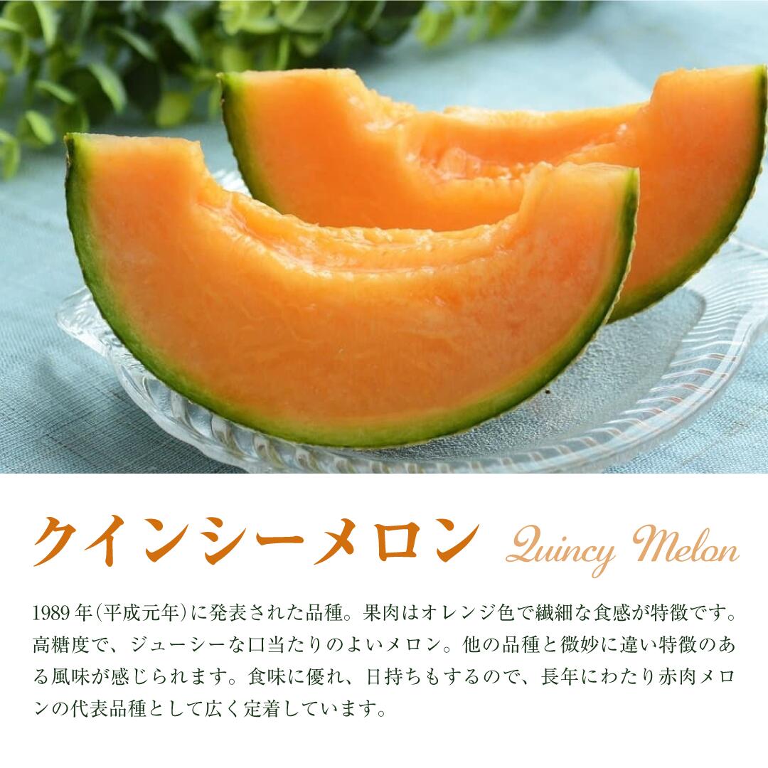 クインシーメロン（ 2玉入り1箱 ）計3kg前後 4Lサイズ1玉1.5kg前後 茨城 鉾田 メロン めろん クインシー 2025年5月～6月頃発送 先行予約 フルーツ先行予約