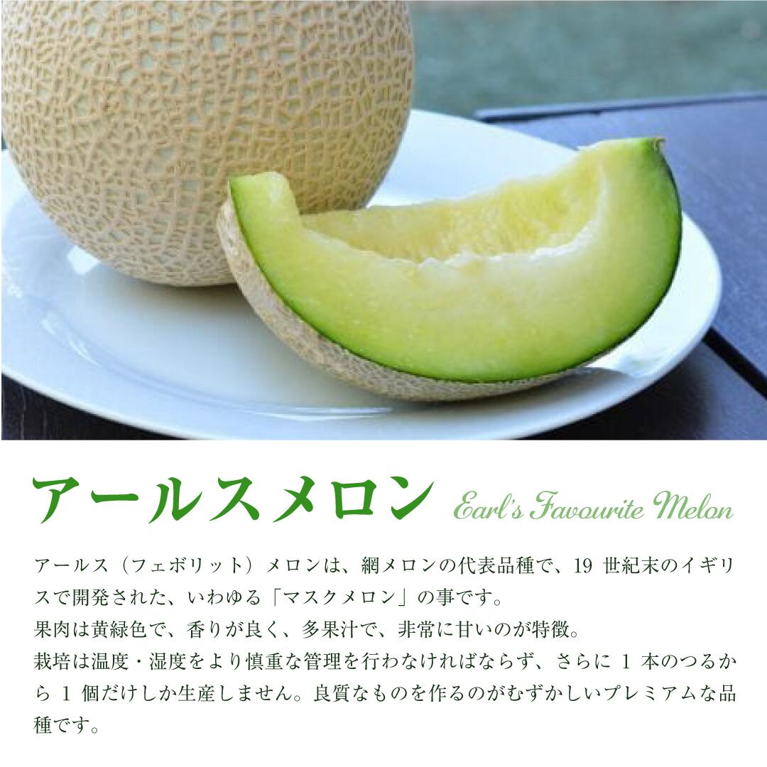 アールスメロン（ 2玉入り1箱 ）計4kg～4.5kg お中元 メロン めろん アールス 1～2玉 2kg～4kg おすすめ 人気 国産 青肉 産地直送 茨城 鉾田 フルーツ 旬 大きい プレゼント 贈り物 旬 定番 果物 くだもの 甘い 産地直送 先行予約 2025年7月～9月発送 フルーツ先行予約