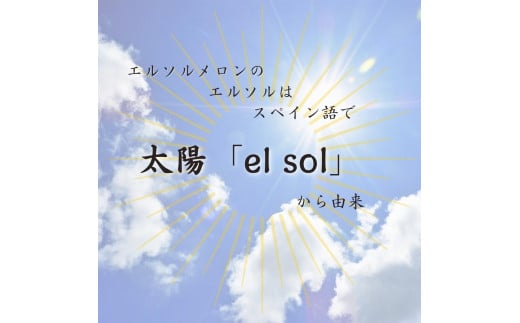 サングリーン旭【特秀】メロン（エルソルメロン）3~5玉入り／約5kg前後