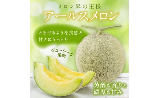 サングリーン旭　アールスメロン　2玉（1玉約1.3～1.5kg）