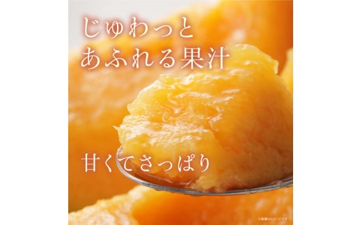 サングリーン旭【特秀】メロン（クインシー）2玉／約2kg前後