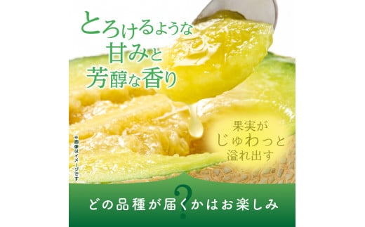 おまかせメロンセレクト　旬の味食べ比べ2個セット