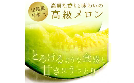 メロンの森 アールスメロン（マスクメロン）1個入り（約1.5kg~2kg）