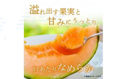 メロンの森 ほこたメロン（赤肉） 2個入り