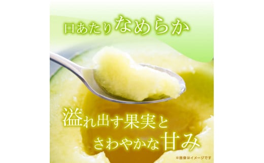 メロンの森　ほこたメロン（緑肉）　2個入り