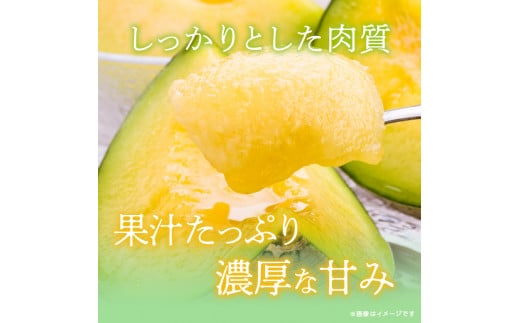 メロンの森 夢麻呂メロン 2個入り