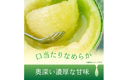 メロンの森 さやかメロン 2個入り