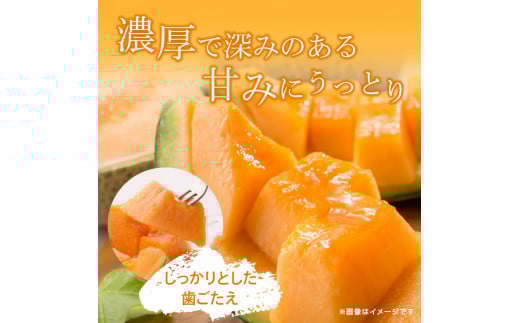 メロンの森 ひたち姫メロン 2個入り