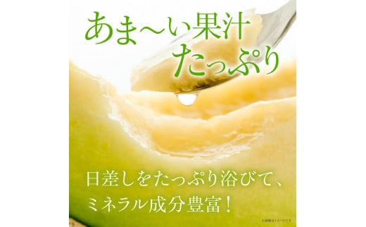 糖度抜群！奇跡のキスミーメロン（青肉）2玉入り
