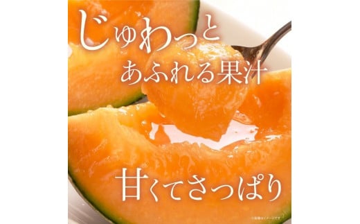 糖度抜群！奇跡のクインシーメロン（赤肉）2玉入り