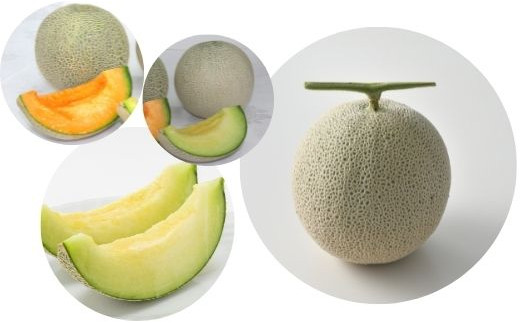 もぎたて市場の鉾田市産「メロン1玉と旬の野菜セット」
