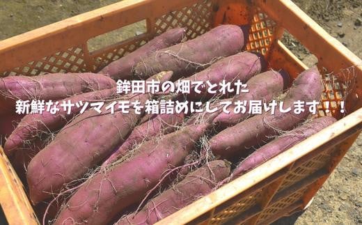 【さつまいも】紅あずま（泥付き無選別）10kg