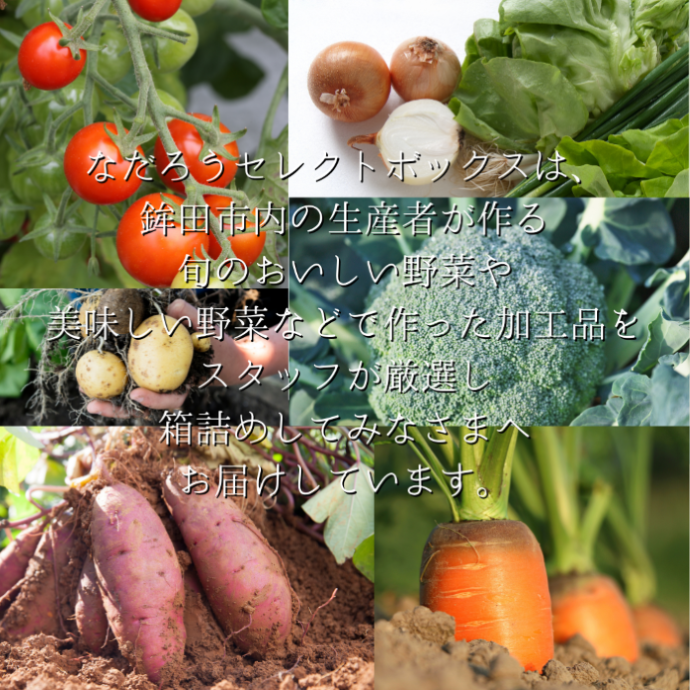 【12ヶ月定期便】野菜と加工品「なだろう」セレクトボックス