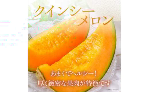 JAほこた なだろう アンデスメロン（1玉）クインシーメロン（1玉）