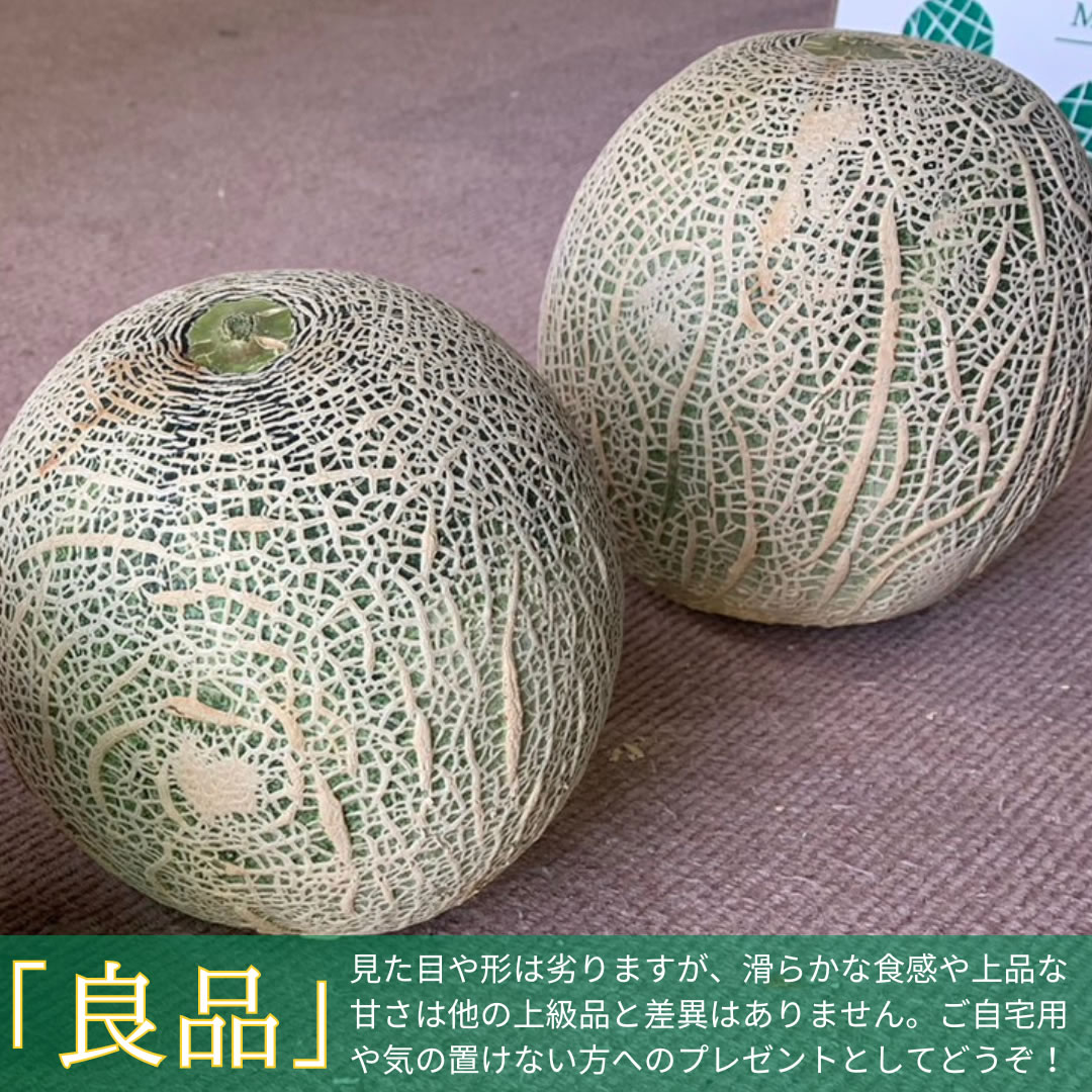 来年2026年5月出荷 イバラキングメロン 訳あり（良品）3～4個入 2023/10/1～
