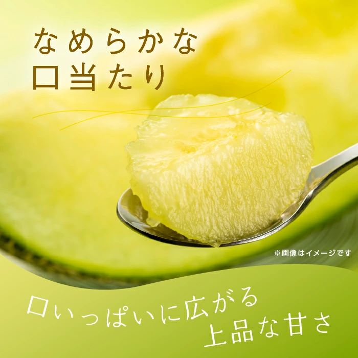 イバラキングメロン（優品）3～4個入 2023/10/1～