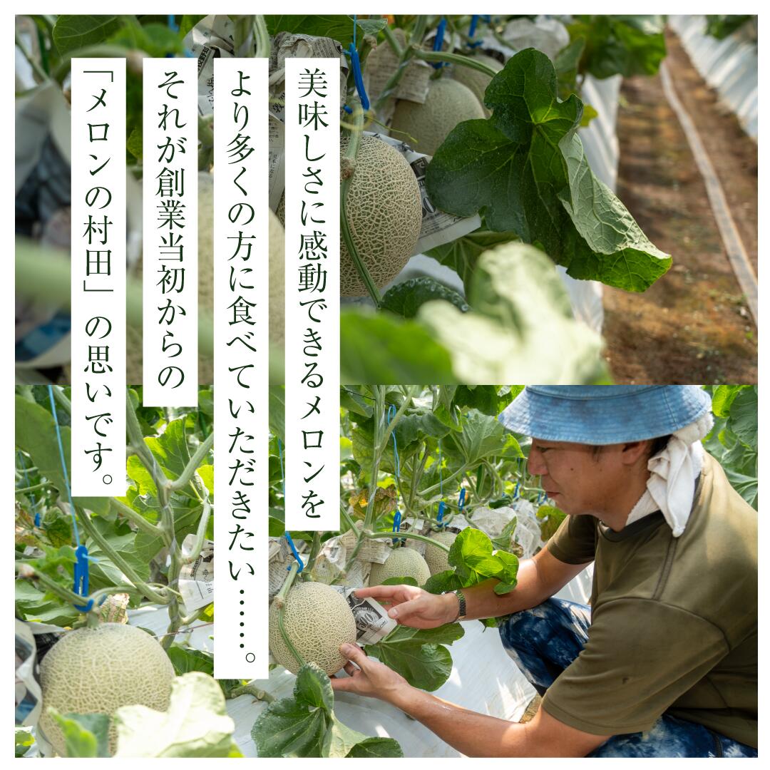 アールスメロン（ 2玉入り1箱 ）計4kg～4.5kg お中元 メロン めろん アールス 1～2玉 2kg～4kg おすすめ 人気 国産 青肉 産地直送 茨城 鉾田 フルーツ 旬 大きい プレゼント 贈り物 旬 定番 果物 くだもの 甘い 産地直送 先行予約 2025年7月～9月発送 フルーツ先行予約