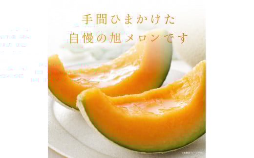 サングリーン旭【特秀】メロン（クインシー）3玉~5玉／約5kg前後