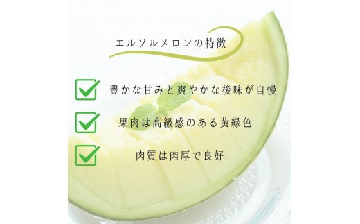 サングリーン旭【特秀】メロン（エルソルメロン）3~5玉入り／約5kg前後