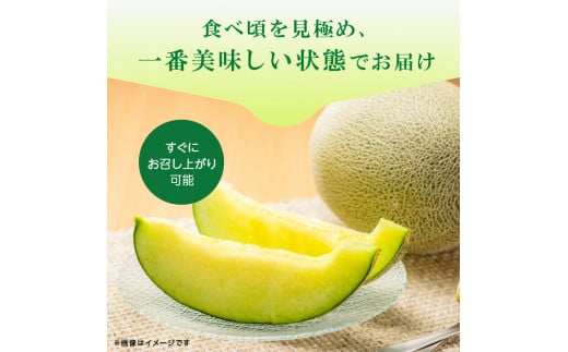 おまかせメロンセレクト　旬の味食べ比べ2個セット