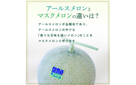 メロンの森　アールスメロン（マスクメロン）　2個入り（約3kg～4kg）
