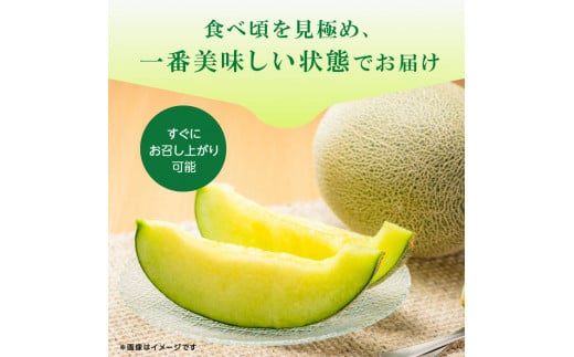 メロンの森　ほこたメロン（緑肉）　2個入り