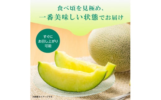 メロンの森 夢麻呂メロン 2個入り