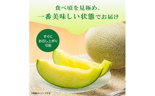 メロンの森 さやかメロン 2個入り