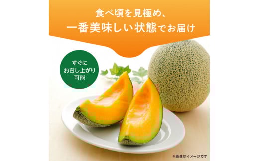 メロンの森 ひたち姫メロン 2個入り