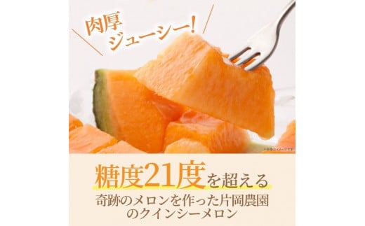 糖度抜群！奇跡のクインシーメロン（赤肉）2玉入り
