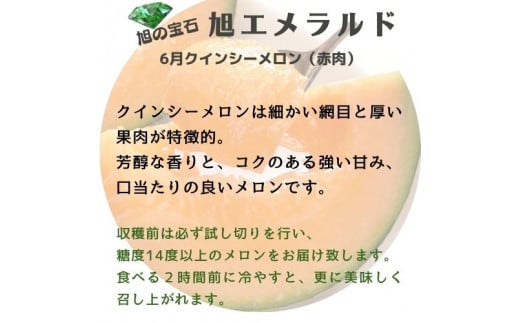 【特秀】クインシーメロン 2玉（1.2kg×2）茨城旭エメラルド