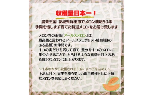 【特秀】アールスメロン 2玉（3.0kg）茨城旭エメラルド