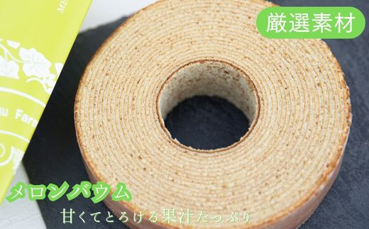 メロンバウム ＆ イチゴバウム 2種セット バウムクーヘン フルーツバウム メロンスイーツ イチゴスイーツ